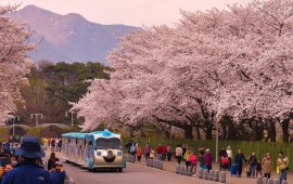 THE BEST TIME TO VISIT SOUTH KOREA